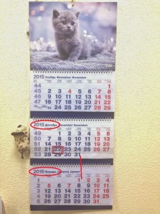 Календарь1